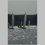 DSC_1458m.JPG