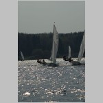 DSC_1459m.JPG