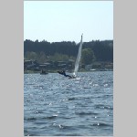 DSC_1519m.JPG