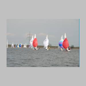 DSC_4448.JPG